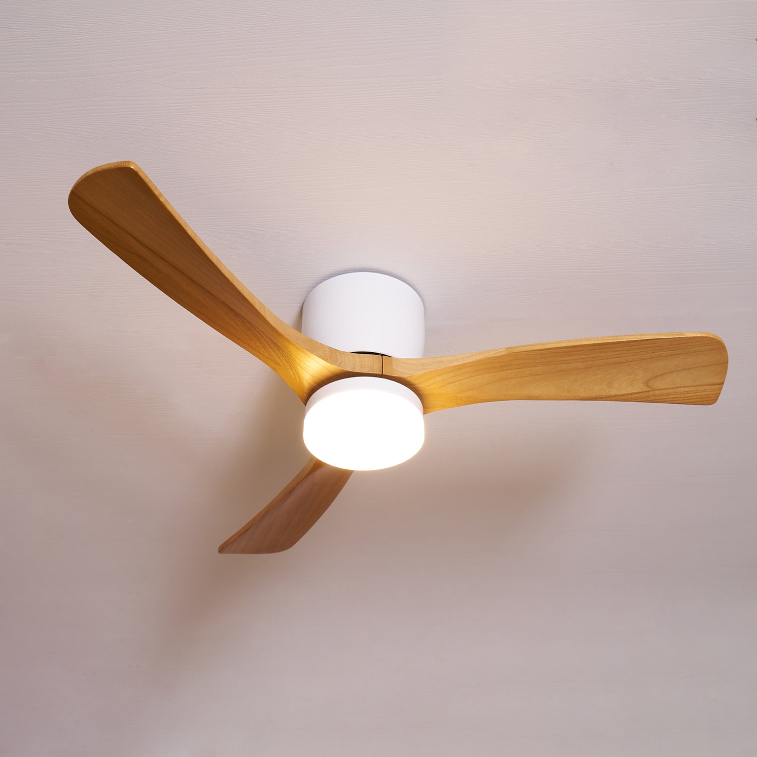 Plafoniera ventilatore Molisa