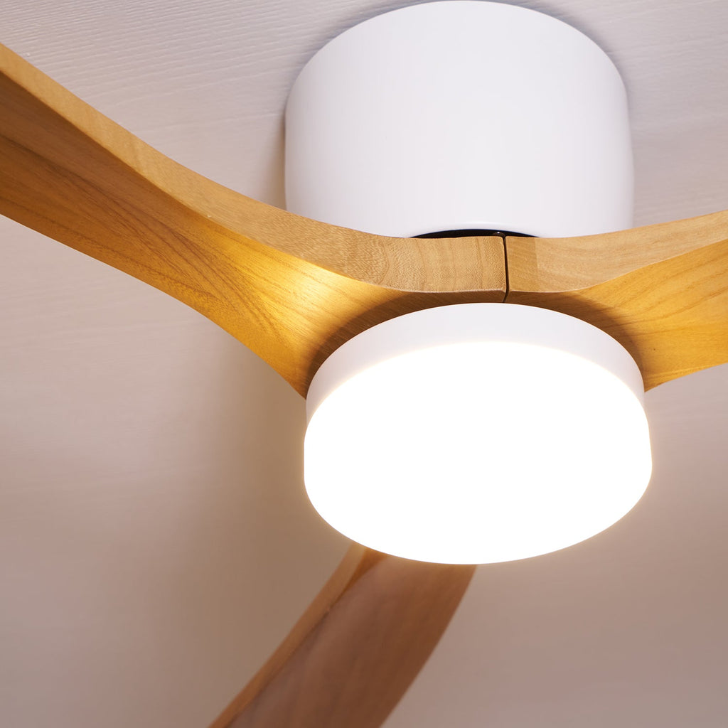 Plafoniera ventilatore Molisa