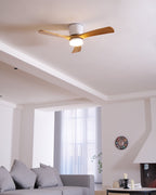 Plafoniera ventilatore Molisa