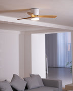 Plafoniera ventilatore Molisa