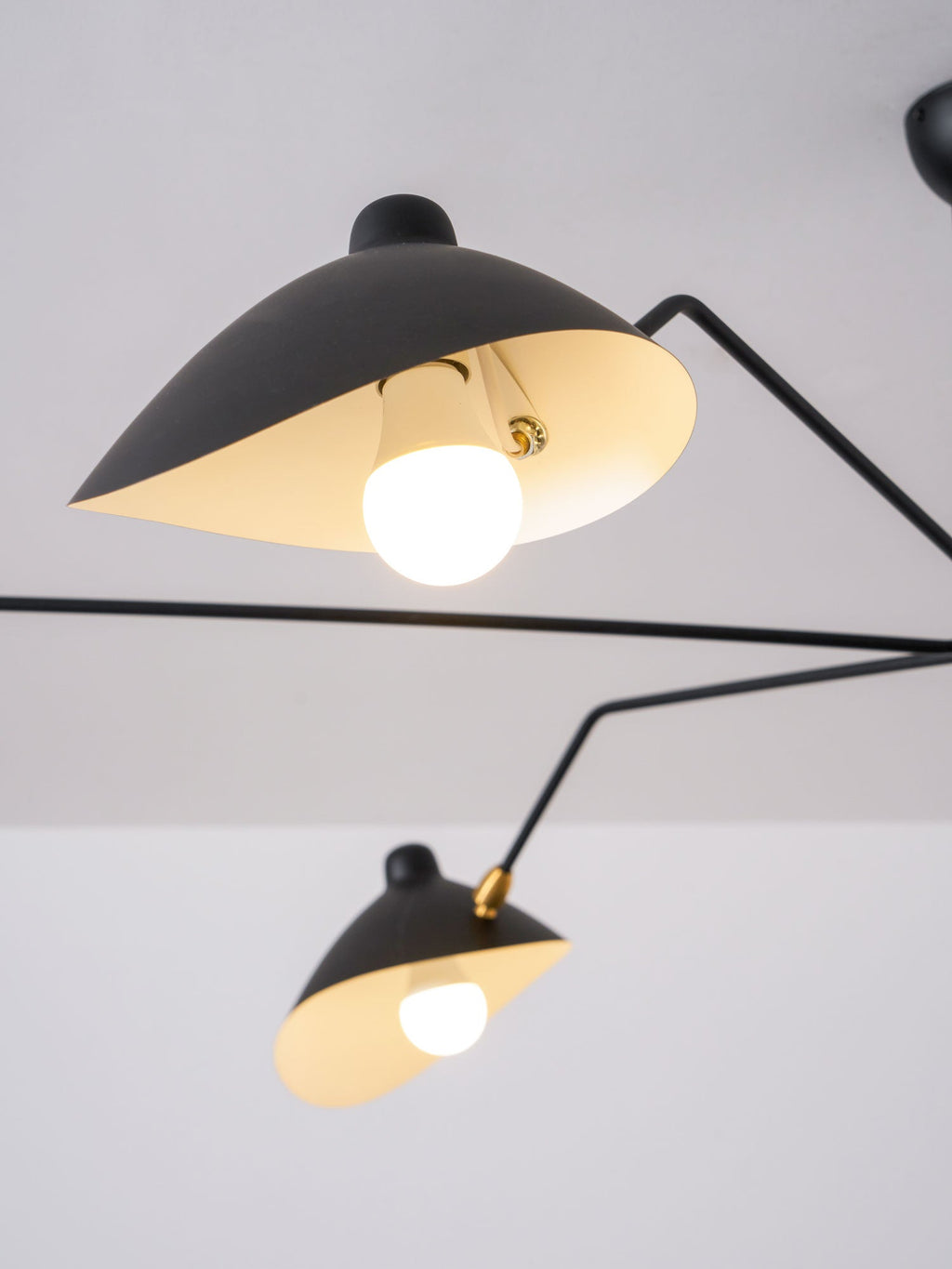 Lampadario a bracci Anlora