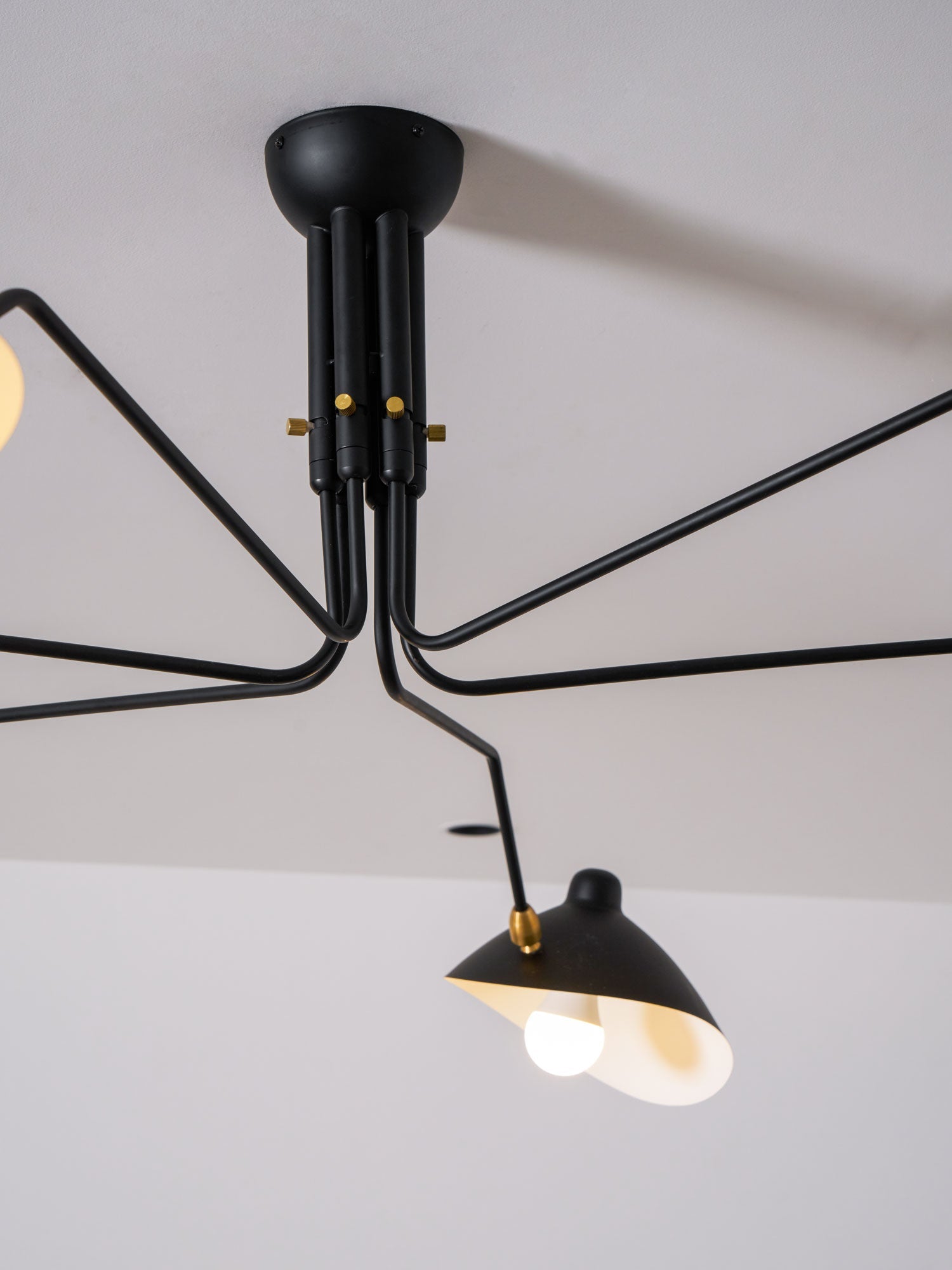 Lampadario a bracci Anlora