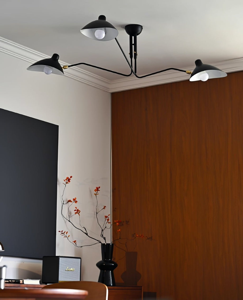 Lampadario a bracci Anlora