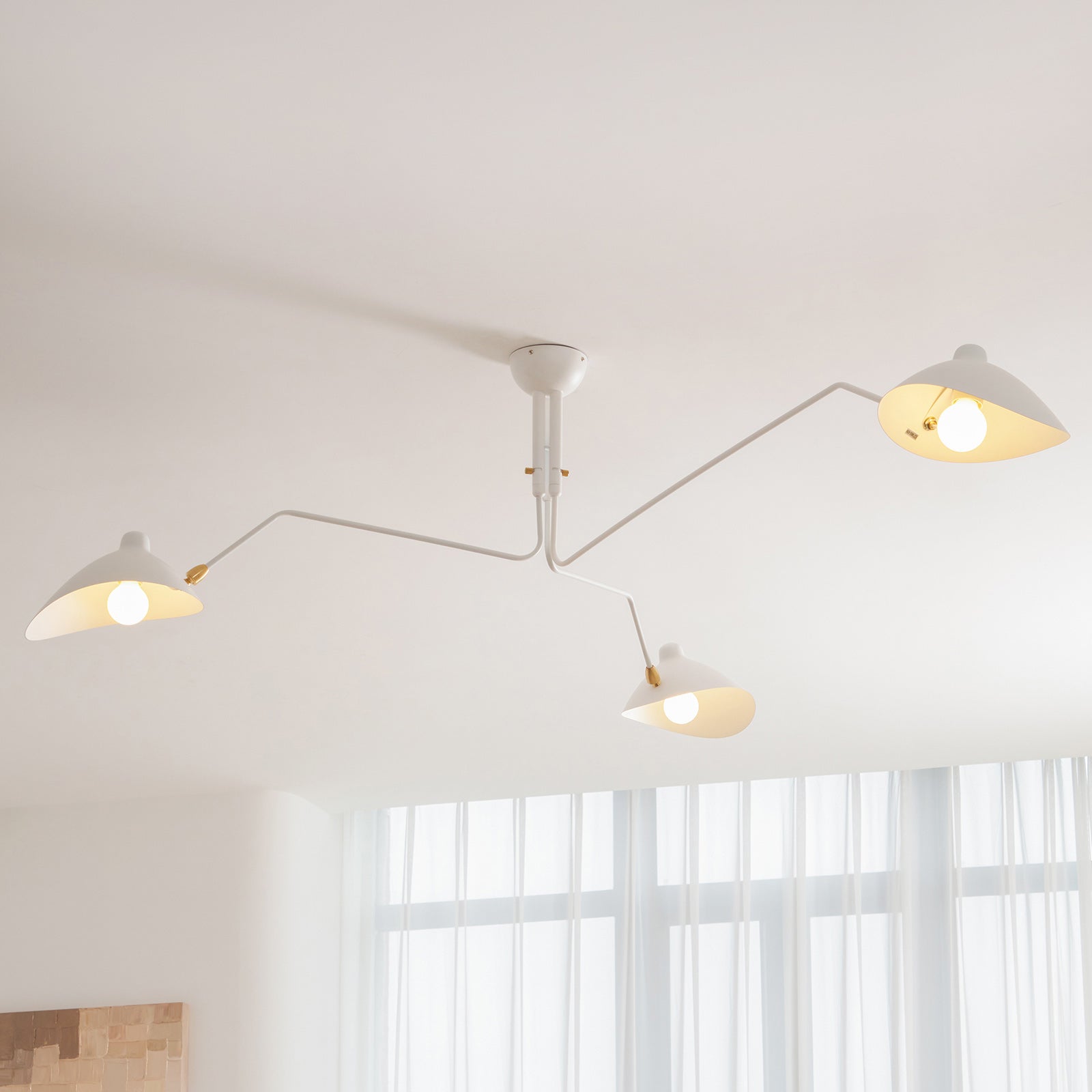 Lampadario a bracci Anlora