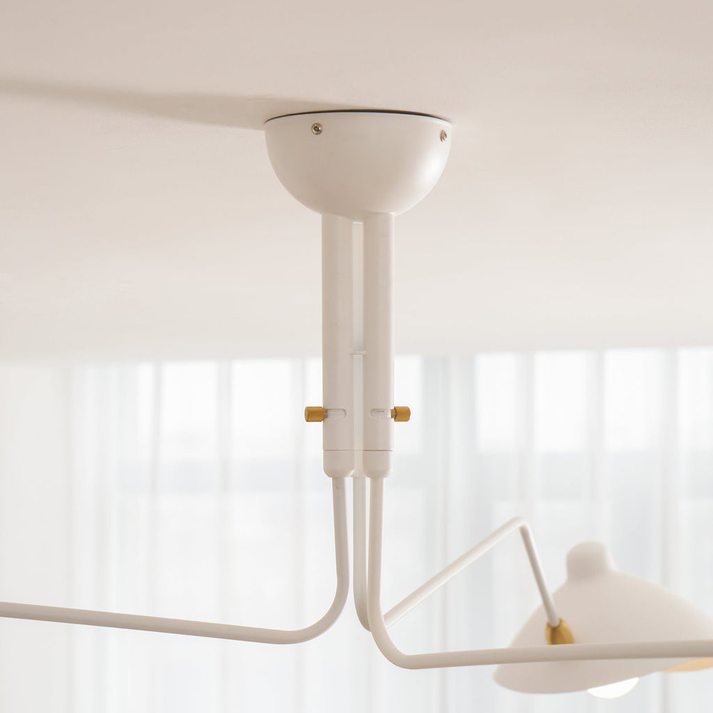 Lampadario a bracci Anlora