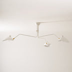 Lampadario a bracci Anlora