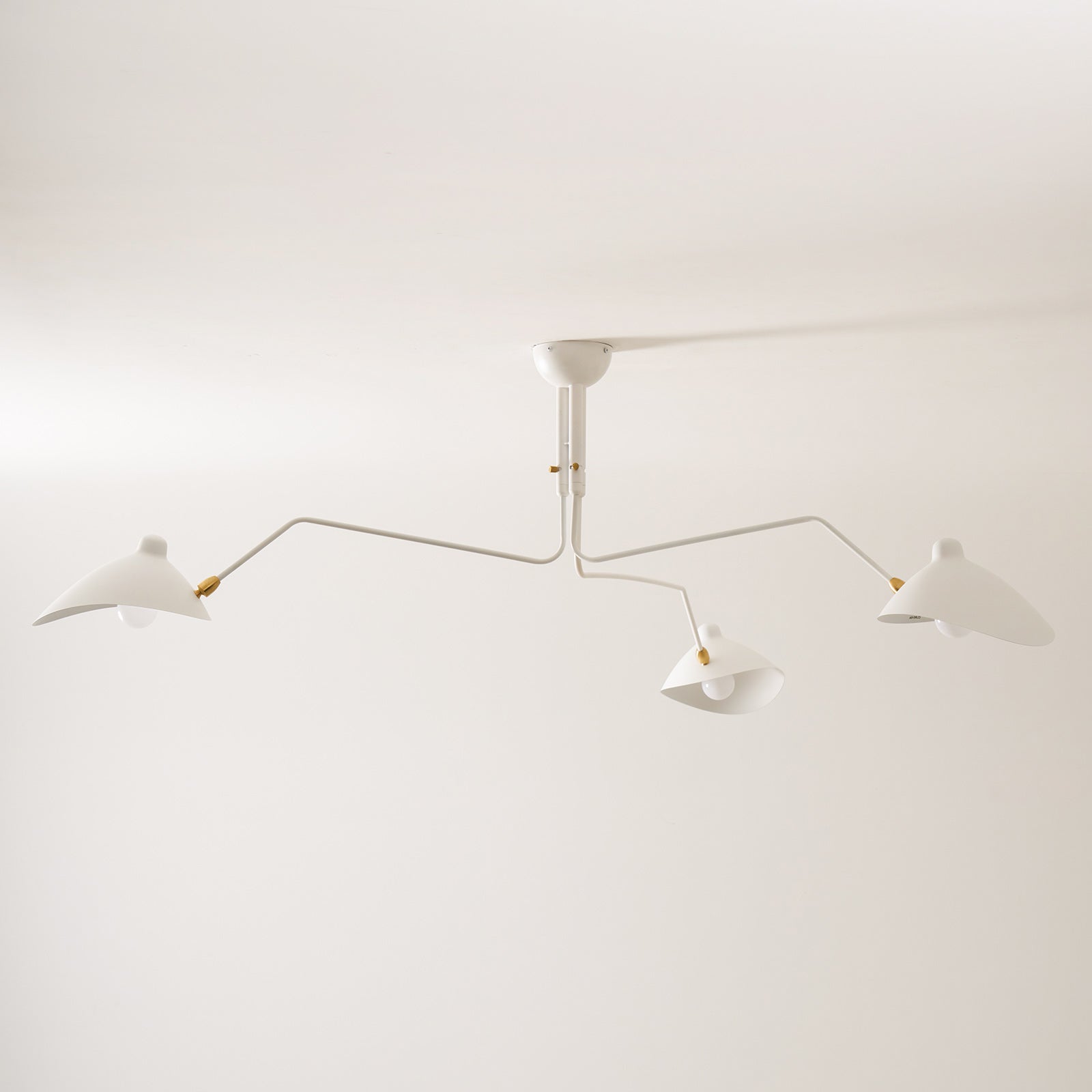 Lampadario a bracci Anlora