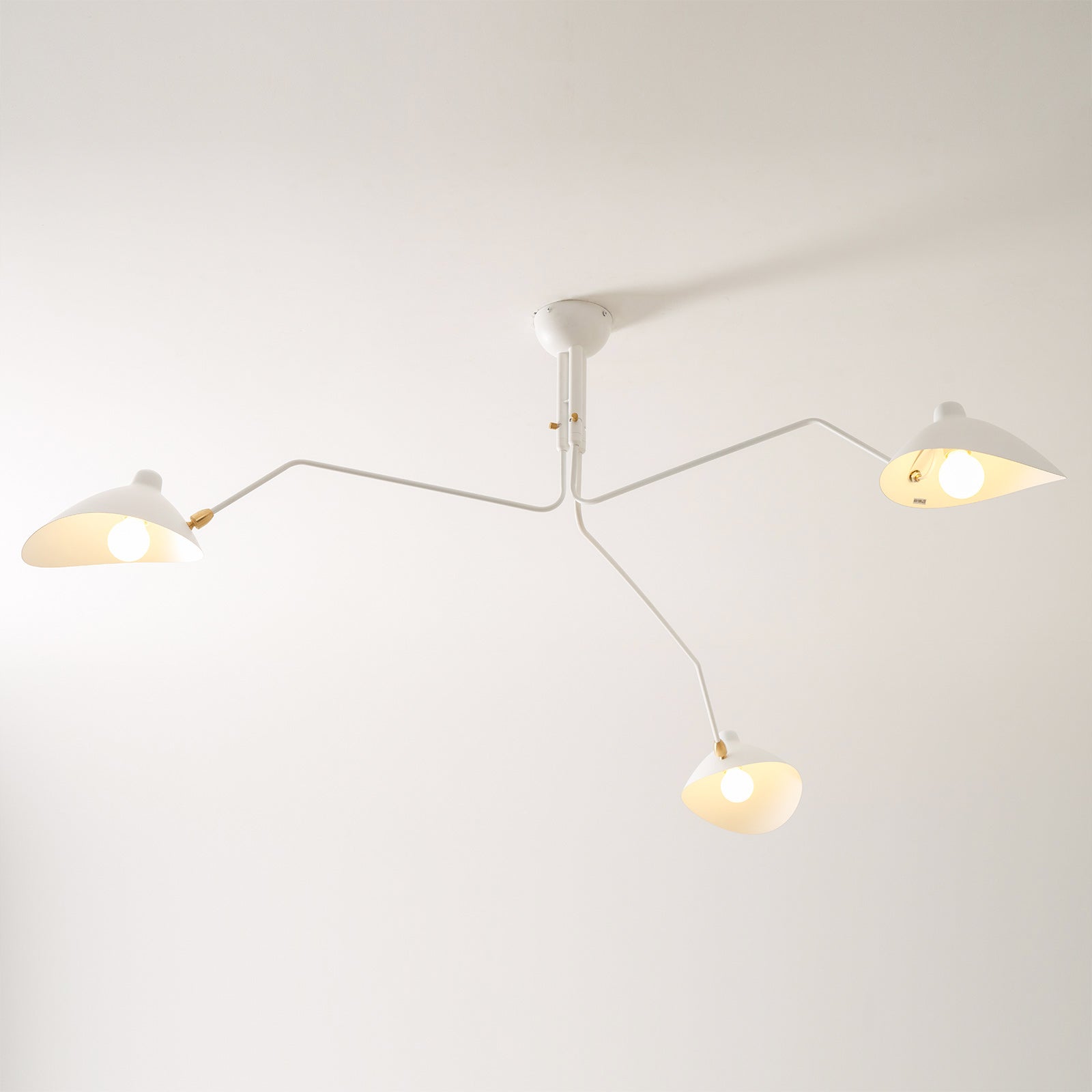 Lampadario a bracci Anlora