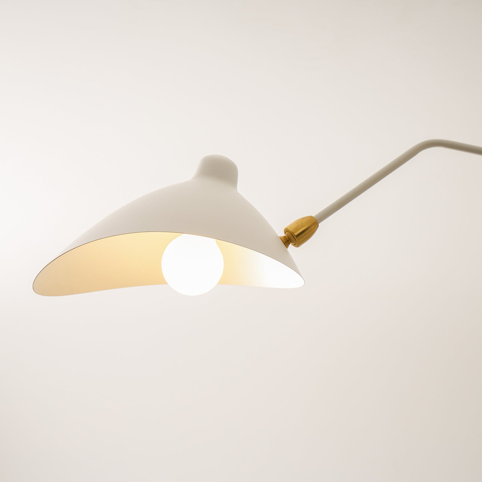 Lampadario a bracci Anlora