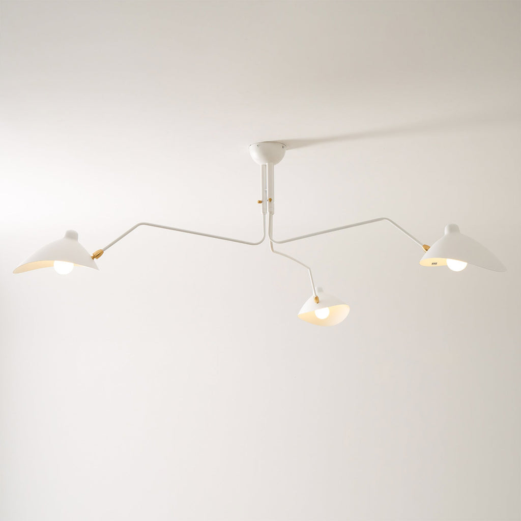 Lampadario a bracci Anlora
