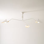 Lampadario a bracci Anlora
