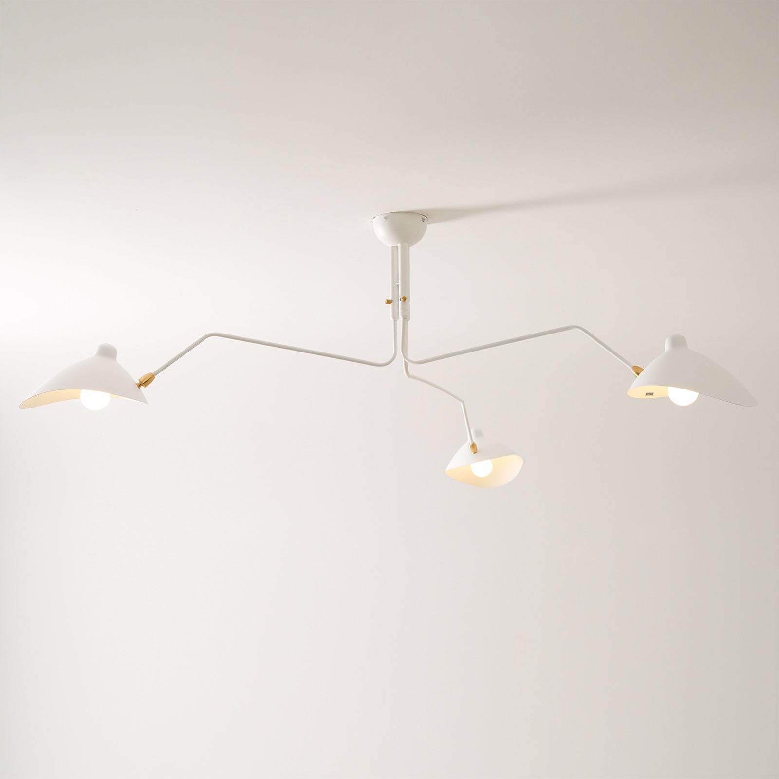 Lampadario a bracci Anlora