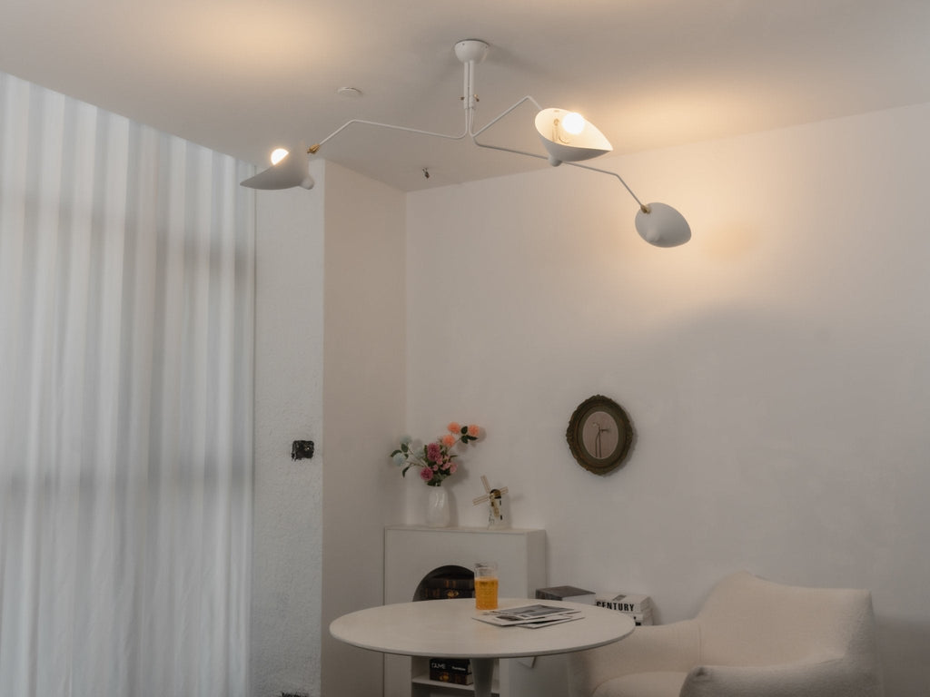 Lampadario a bracci Anlora