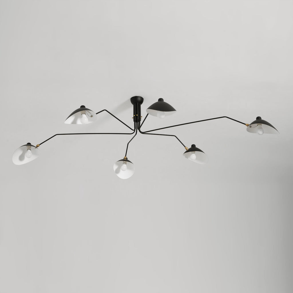 Lampadario a bracci Anlora