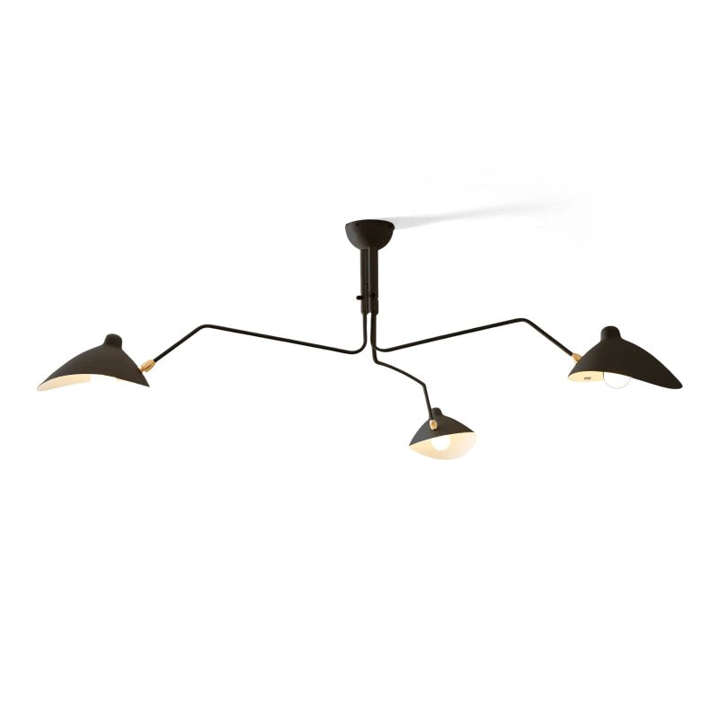 Lampadario a bracci Anlora