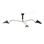 Lampadario a bracci Anlora