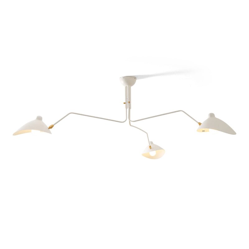 Lampadario a bracci Anlora