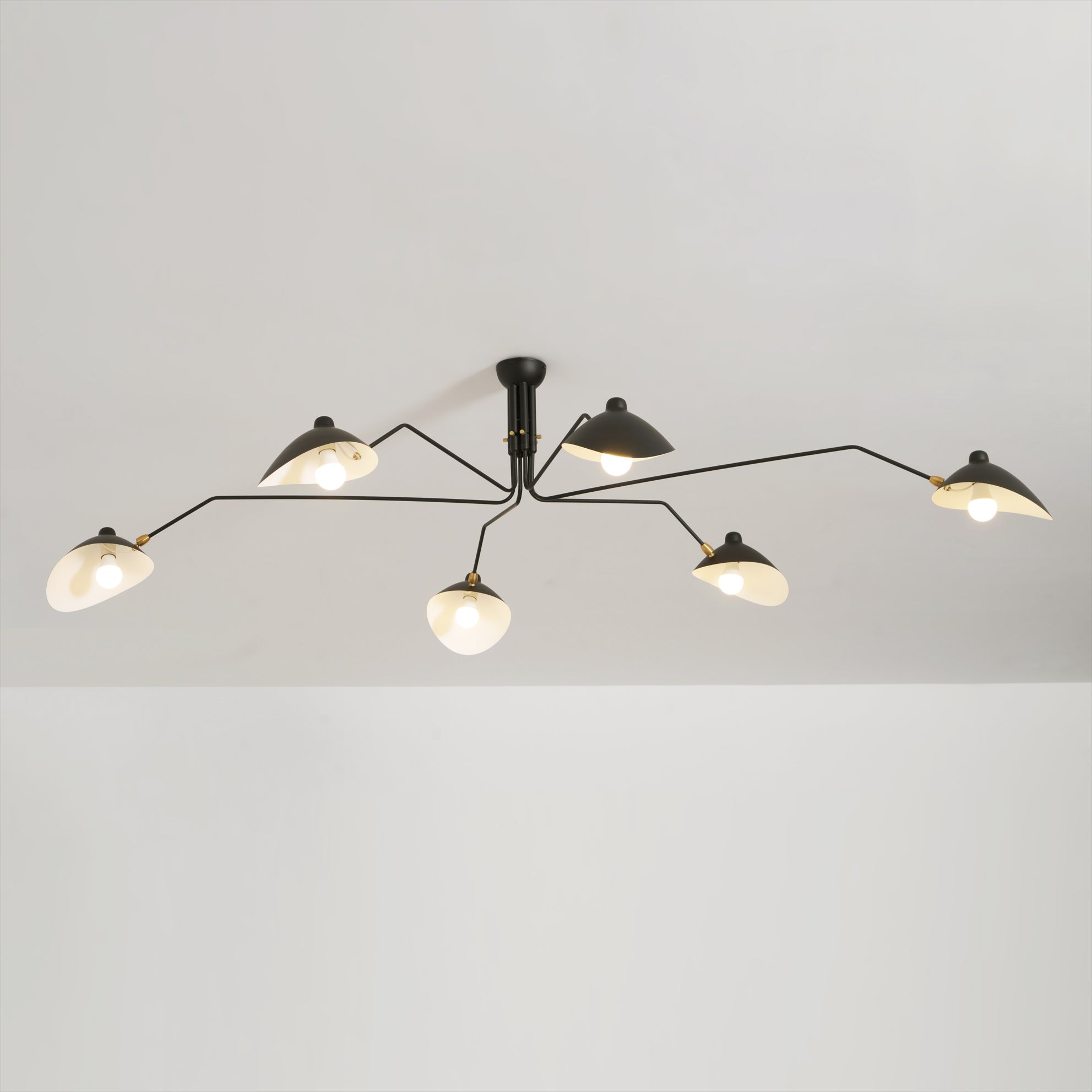 Lampadario a bracci Anlora