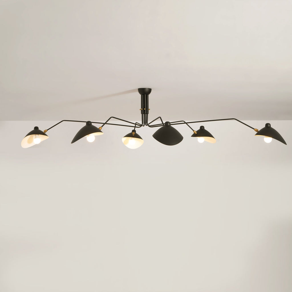 Lampadario a bracci Anlora