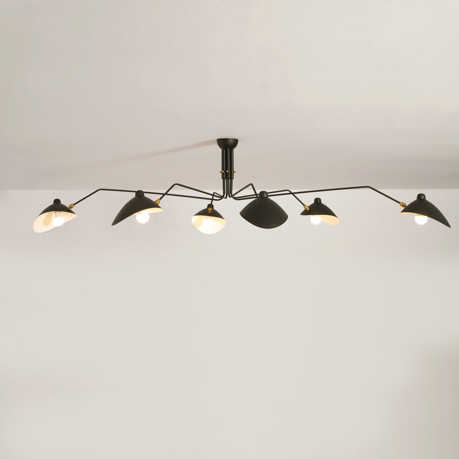 Lampadario a bracci Anlora