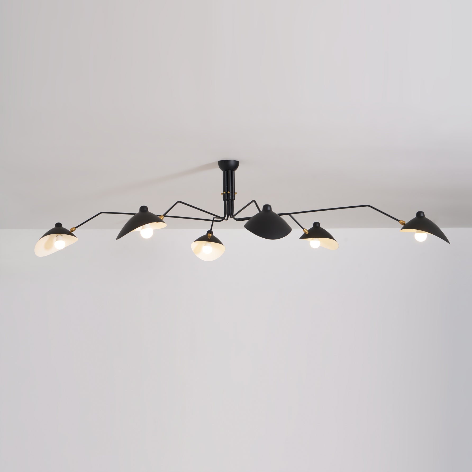 Lampadario a bracci Anlora