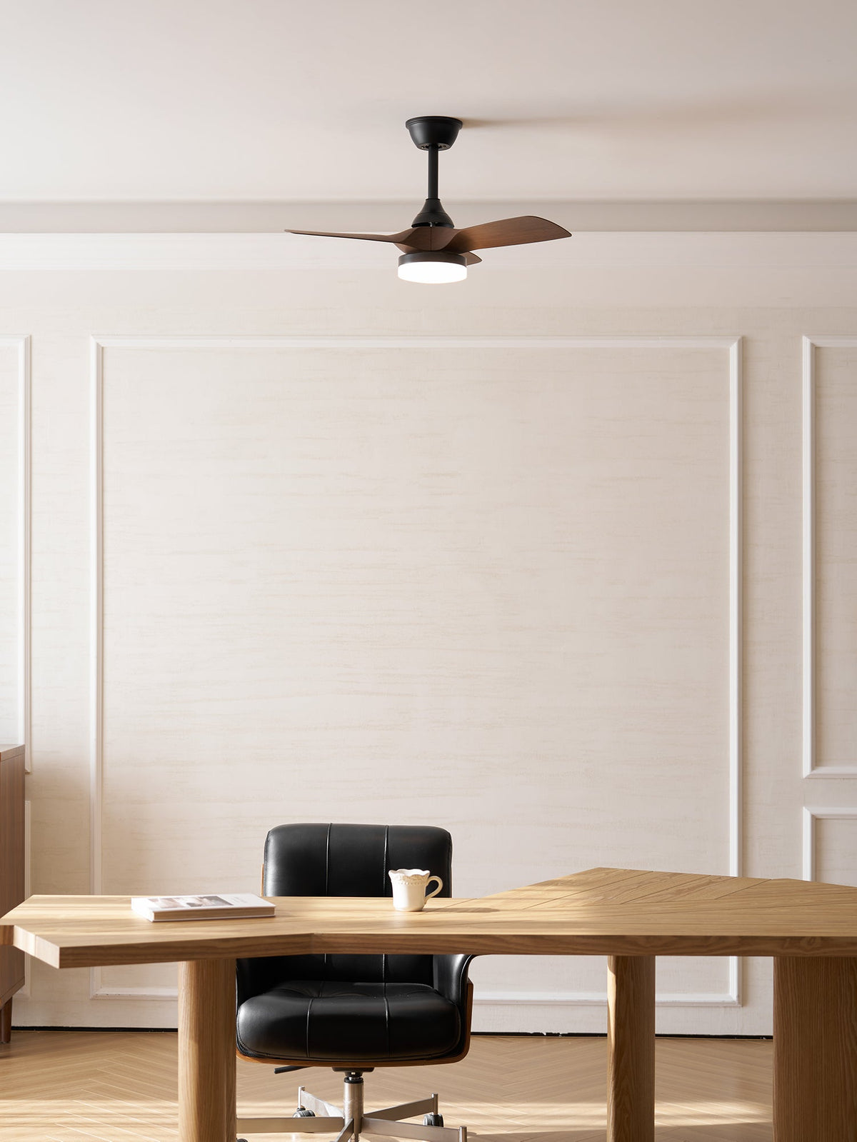 Ventilatore da soffitto Esonasole