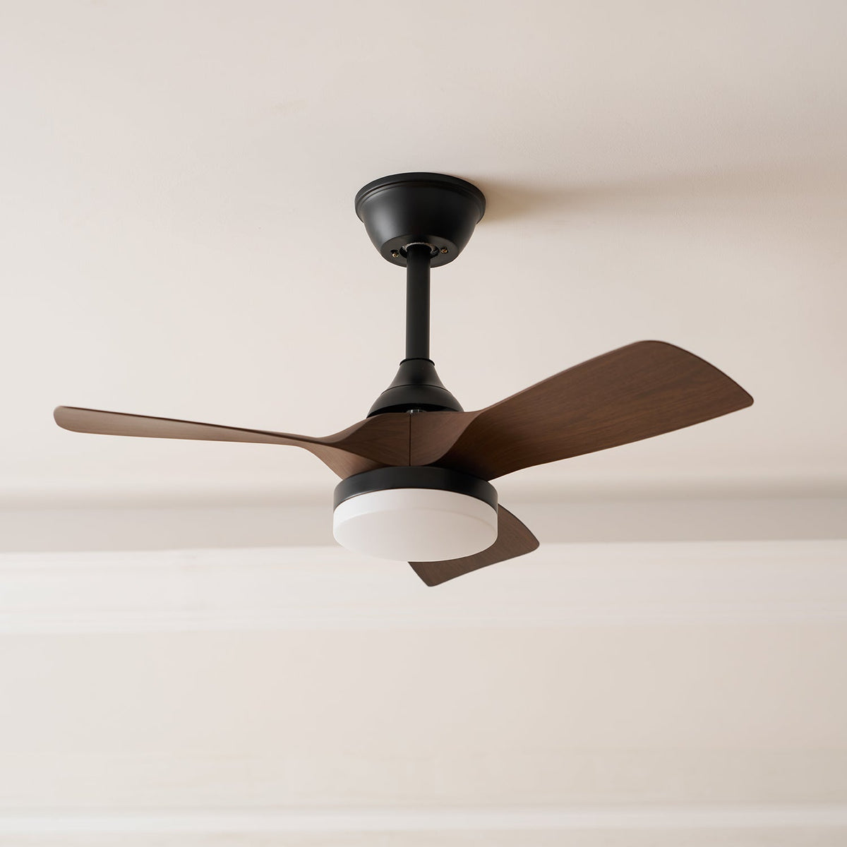 Ventilatore da soffitto Esonasole