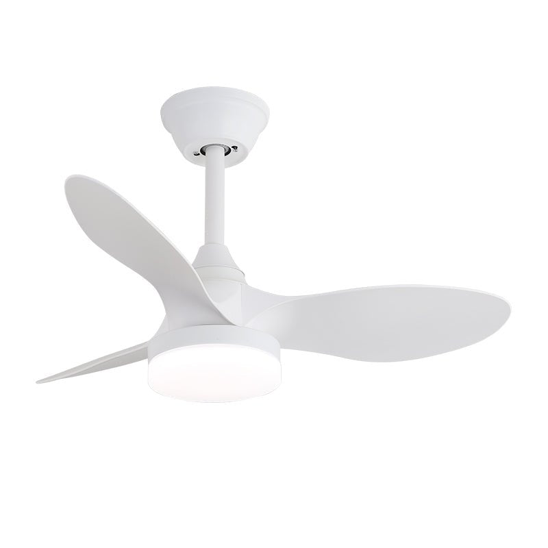 Ventilatore da soffitto Esonasole