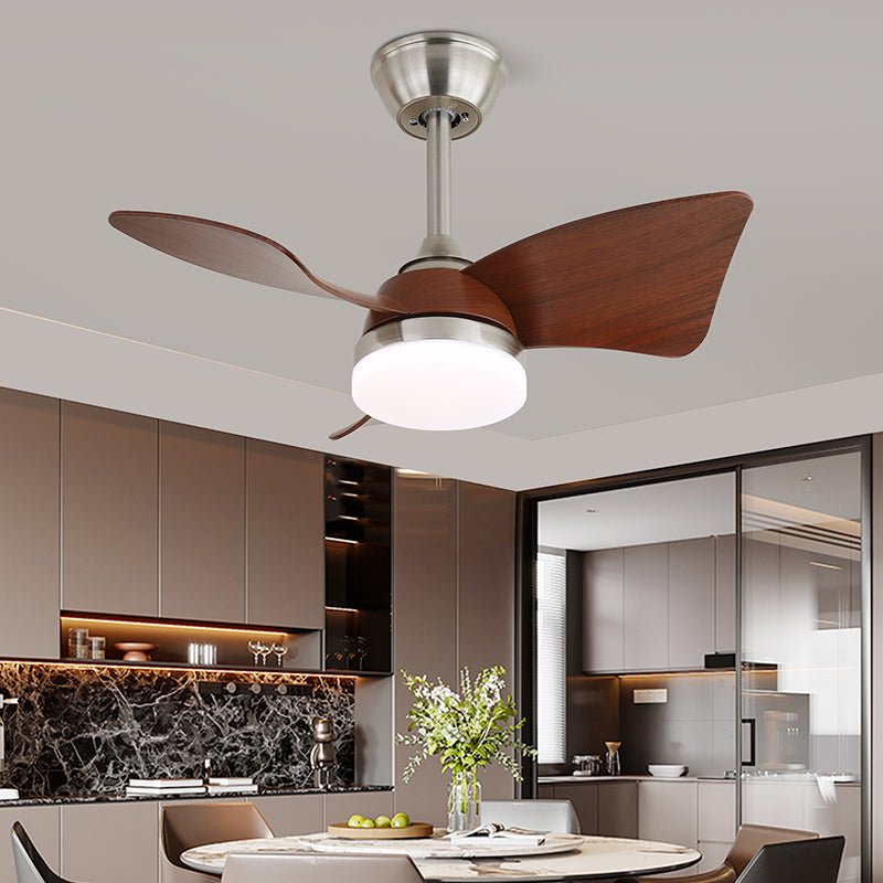 Ventilatore da soffitto Esonasole
