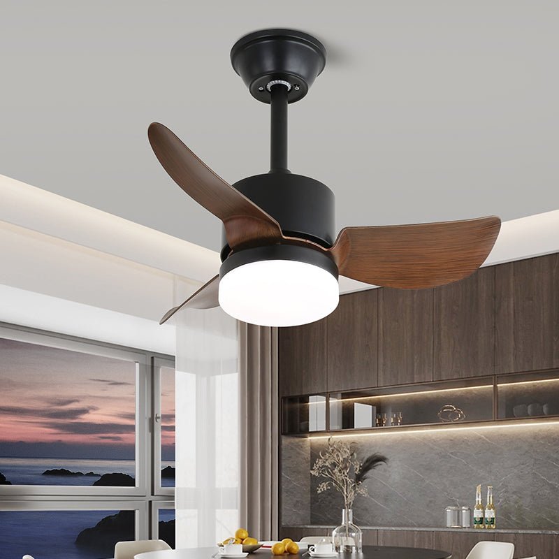 Ventilatore da soffitto Esonasole