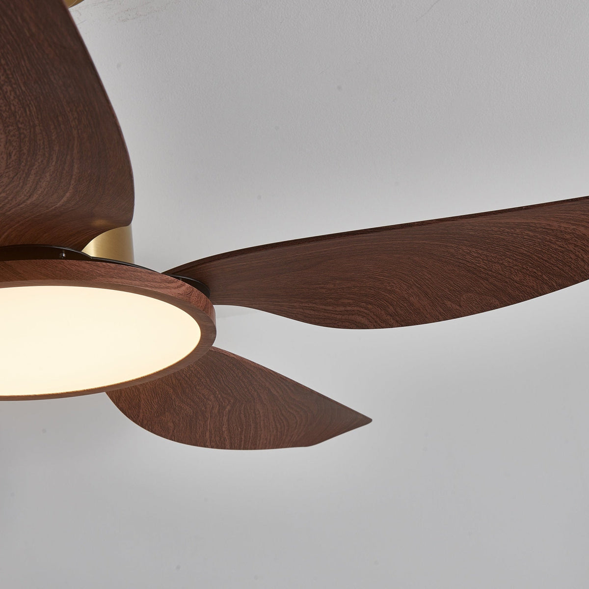 Ventilatore da soffitto Lucinano