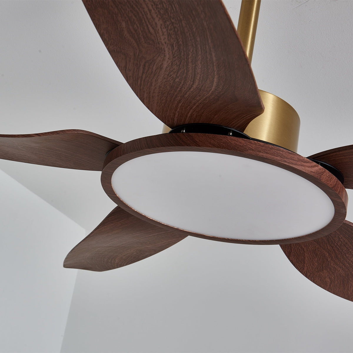 Ventilatore da soffitto Lucinano