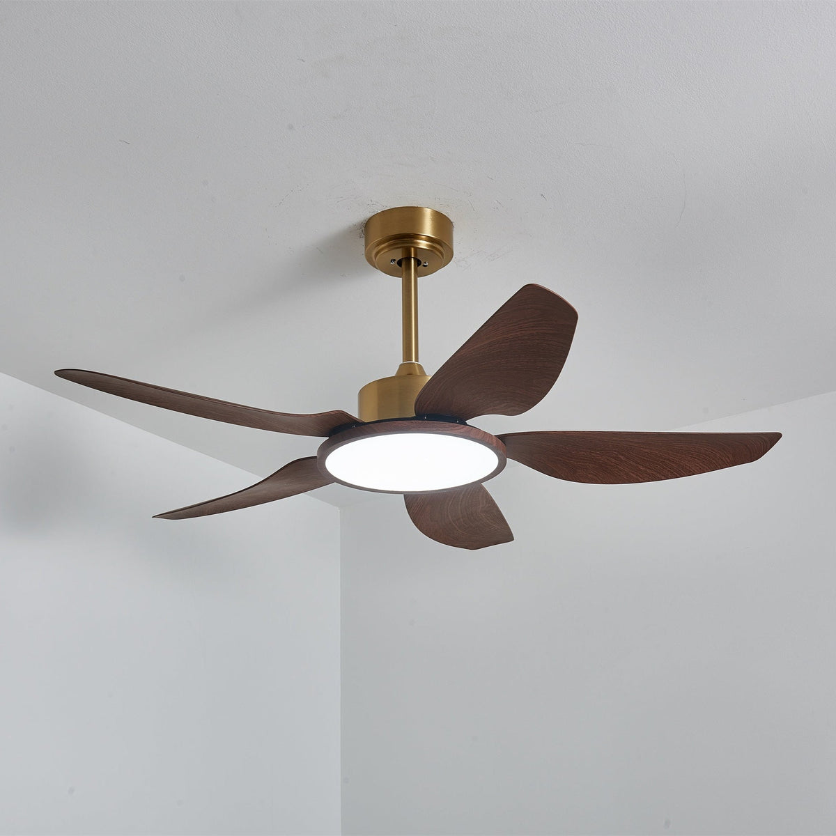 Ventilatore da soffitto Lucinano