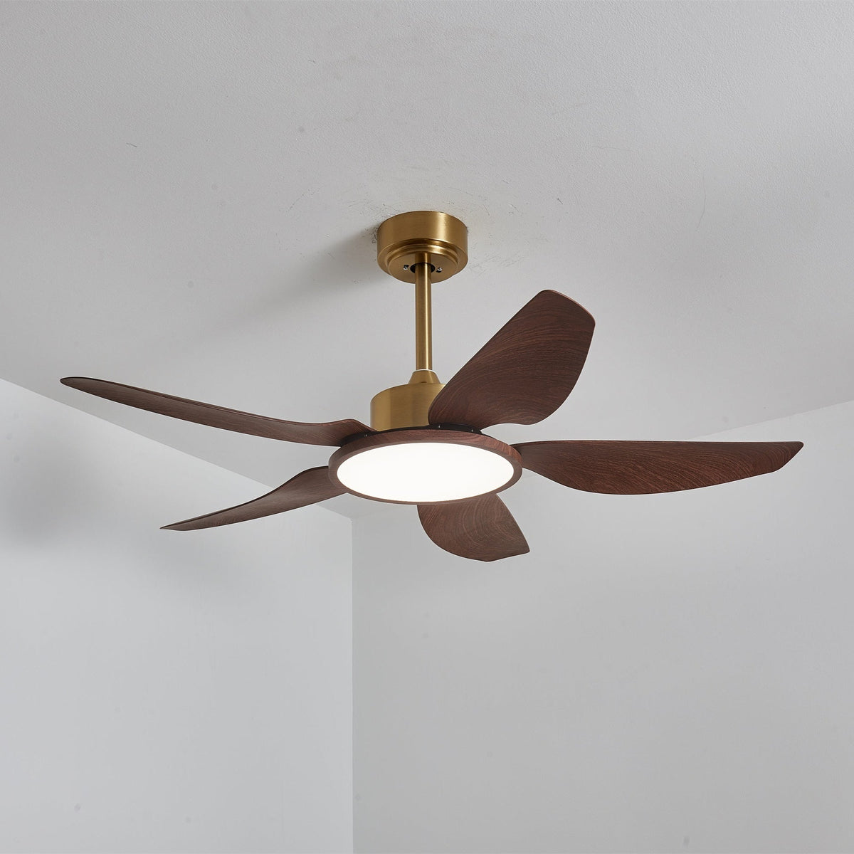 Ventilatore da soffitto Lucinano