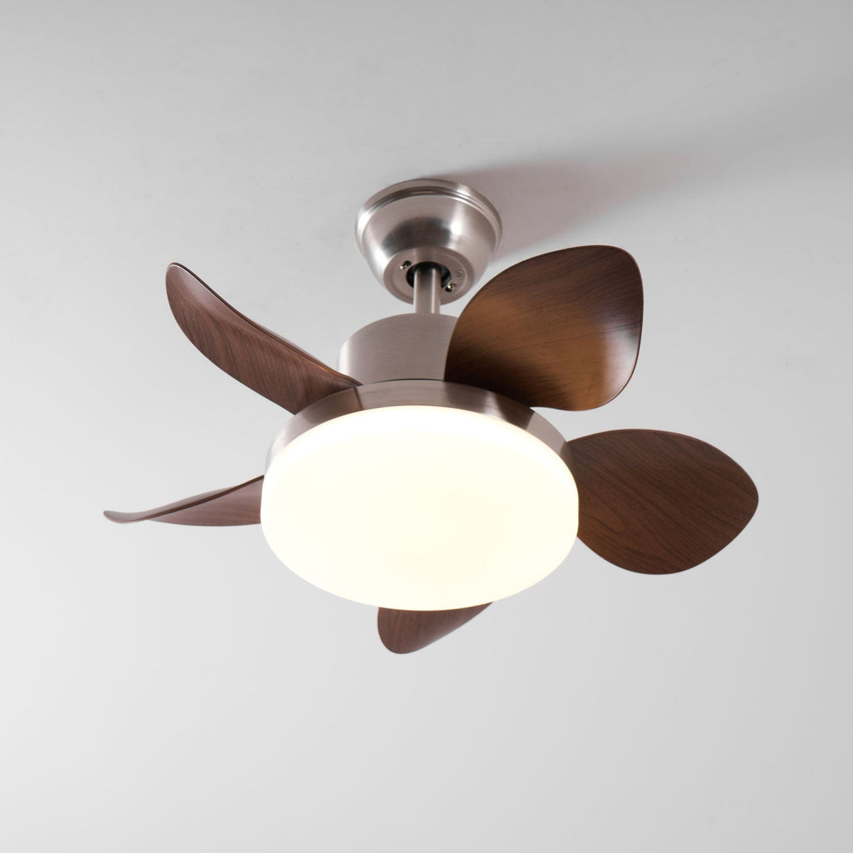 Ventilatore da soffitto Alecella