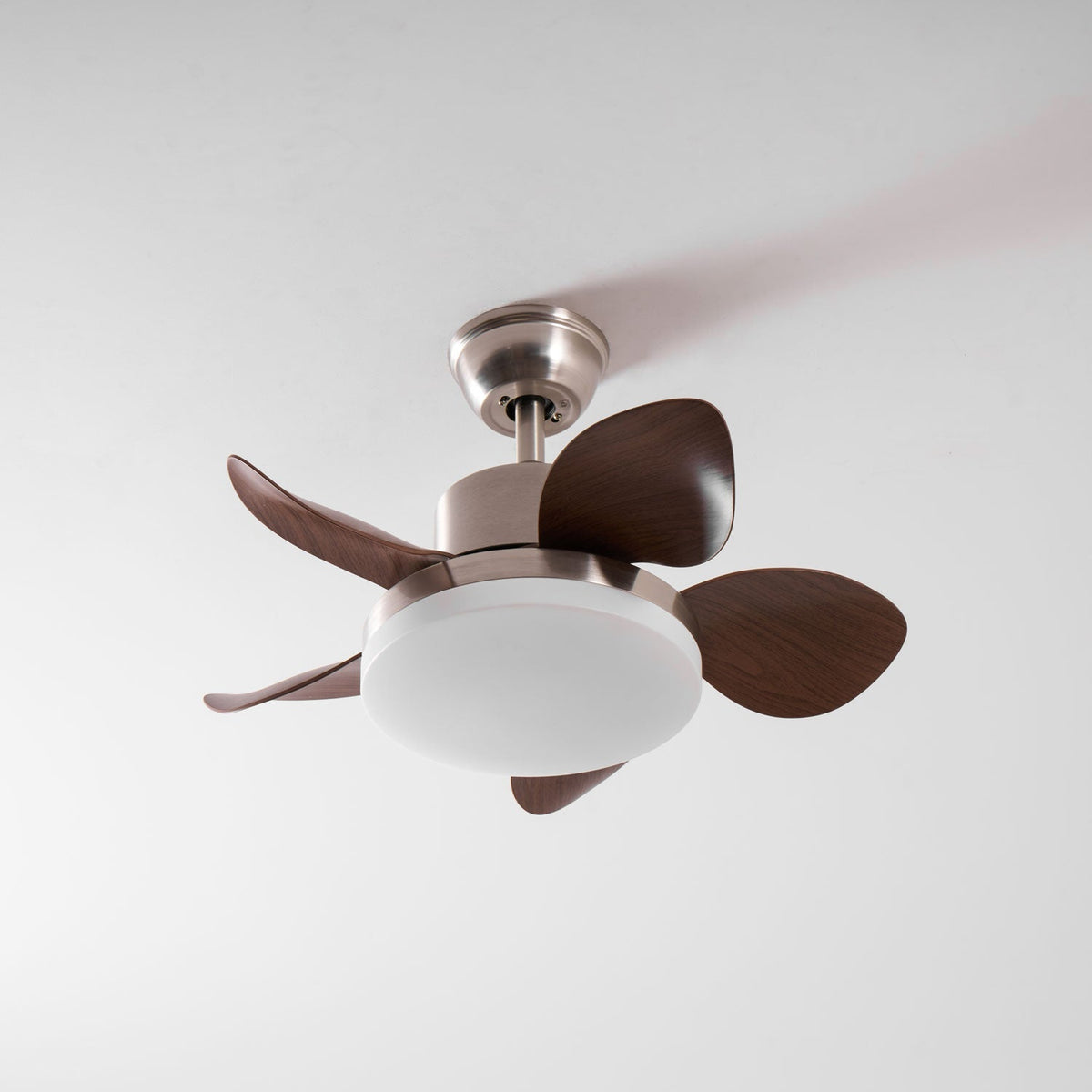 Ventilatore da soffitto Alecella