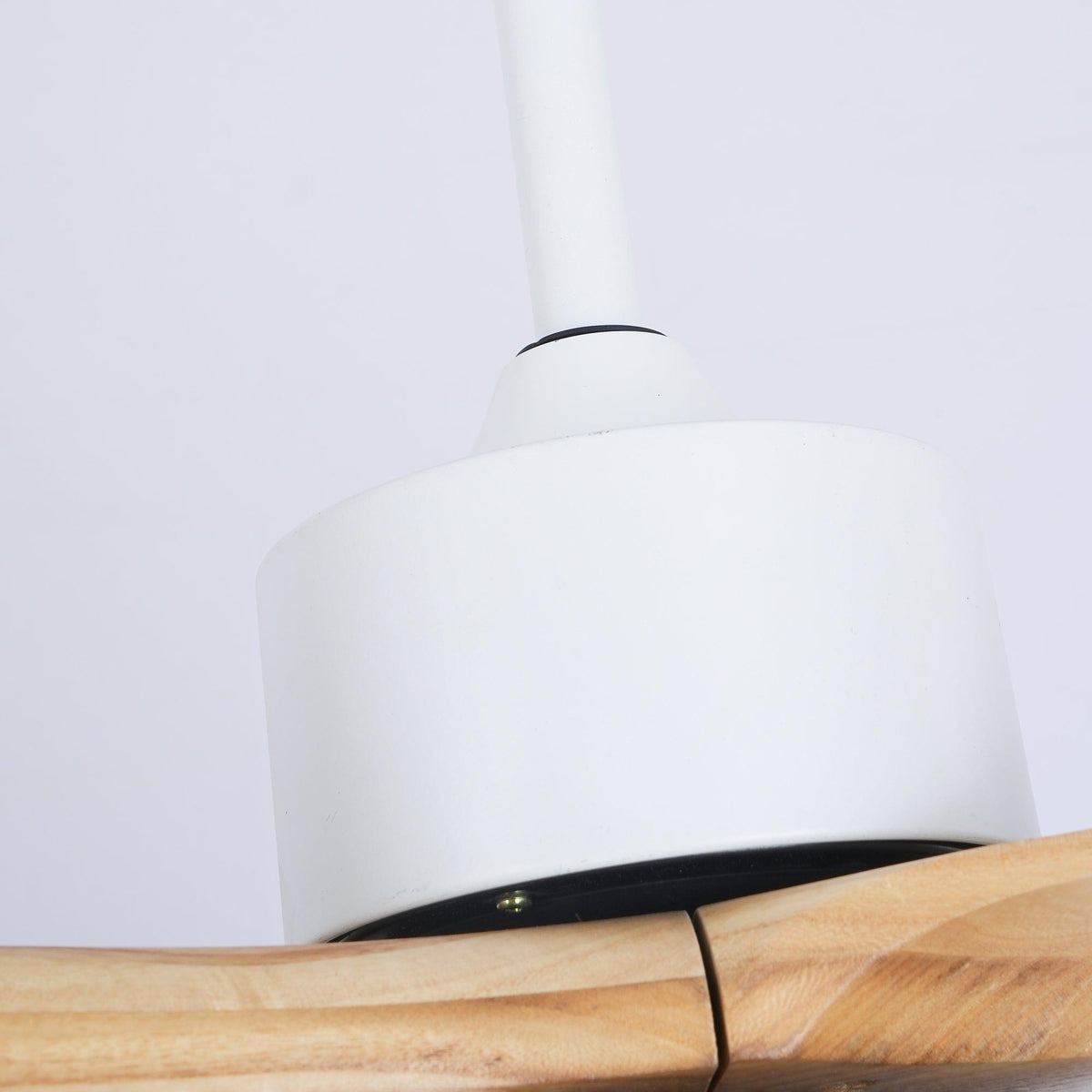 Ventilatore da soffitto Tanelea