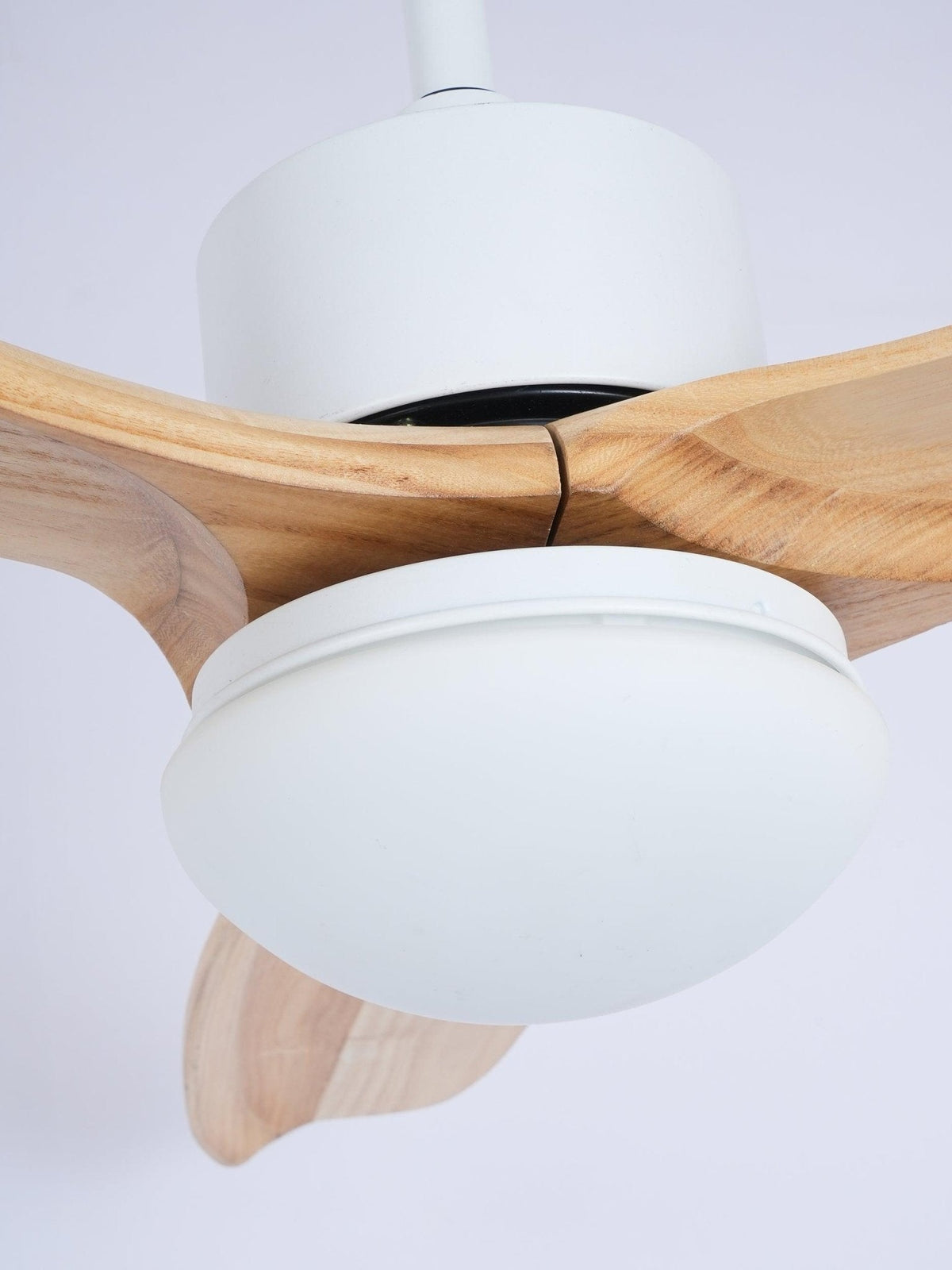 Ventilatore da soffitto Tanelea