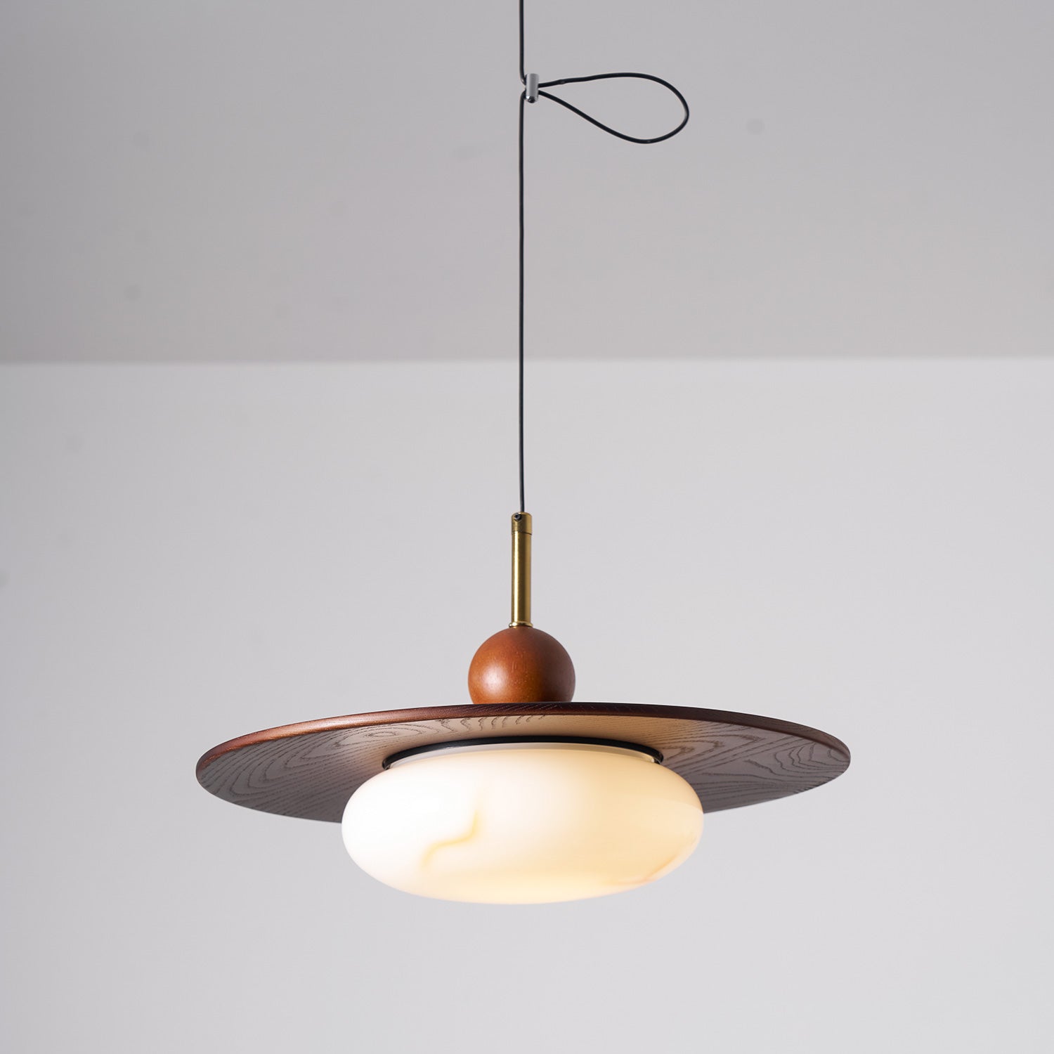 Lampada a sospensione orientabile Avinovi