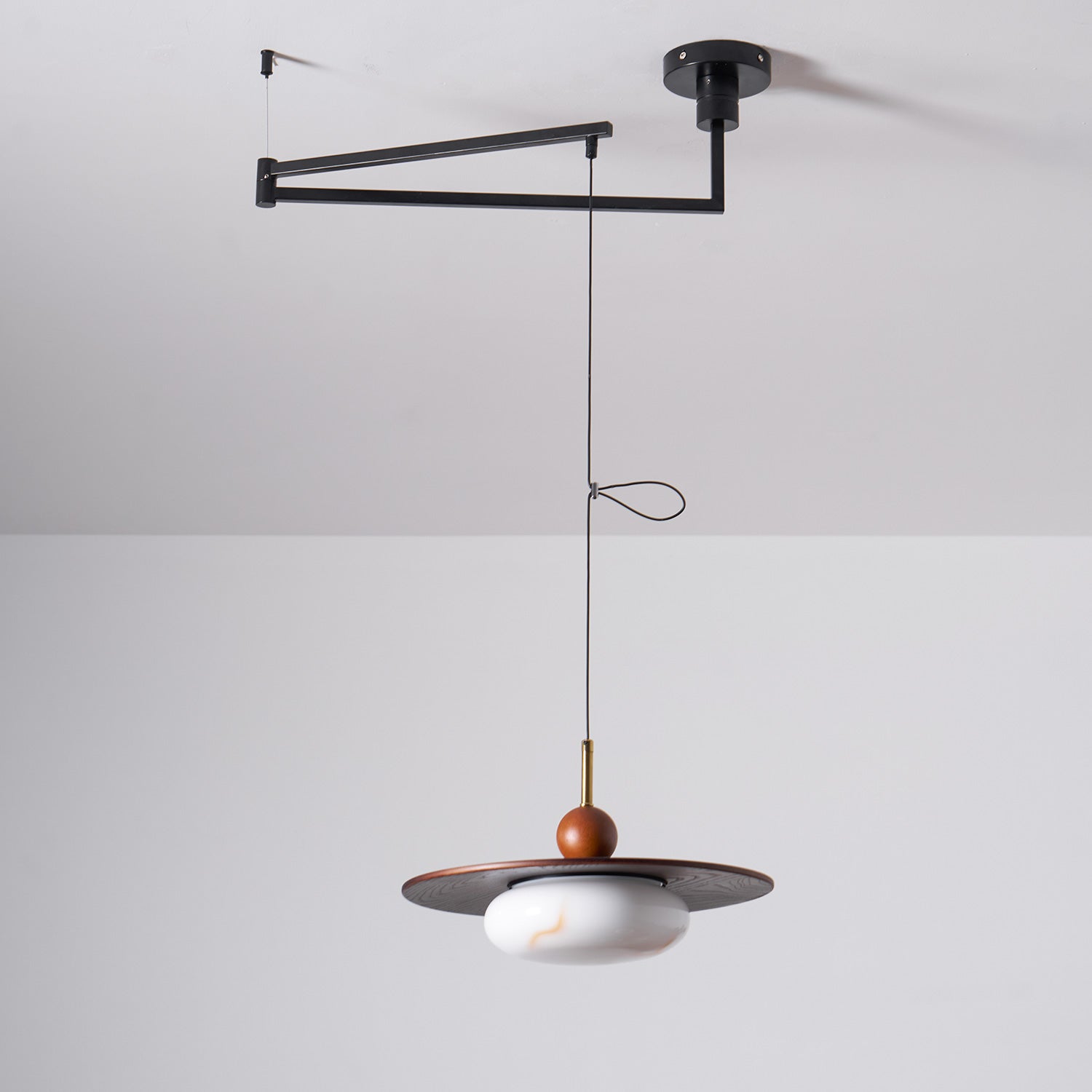 Lampada a sospensione orientabile Avinovi